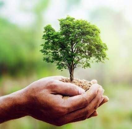 {"ar":"غرس الأشجار","fr":"غرس شجرة","en":"غرس شجر "}