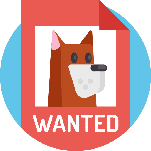 {"ar":"\u0627\u0644\u062d\u064a\u0648\u0627\u0646 \u0627\u0644\u0636\u0627\u0644 \u0627\u0644\u0630\u064a \u0641\u0642\u062f\u062a\u0647","fr":"L'animal errant que vous avez perdu","en":"The stray animal you lost"}