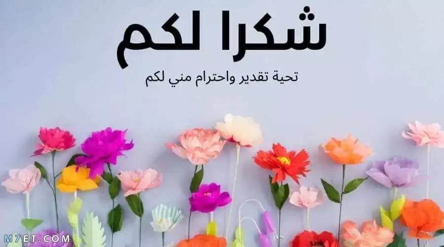 تم العثور على الشخص