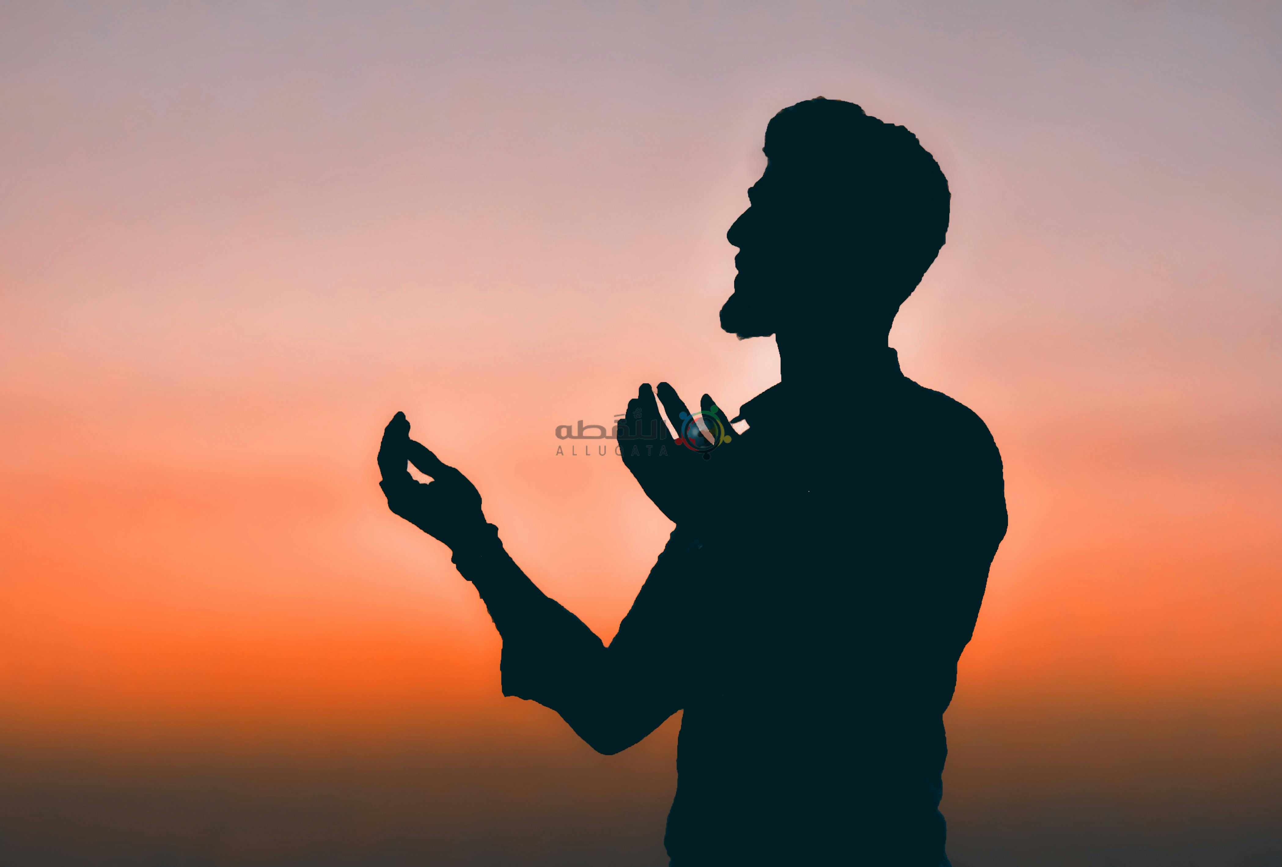 أبحث عن جاري