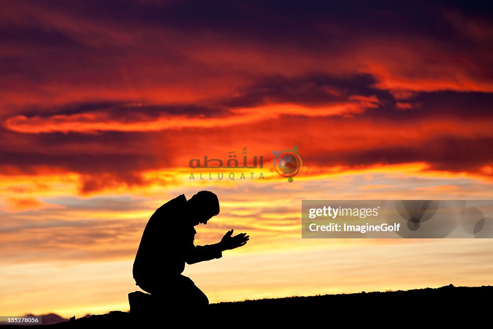 أبحث عن جاري