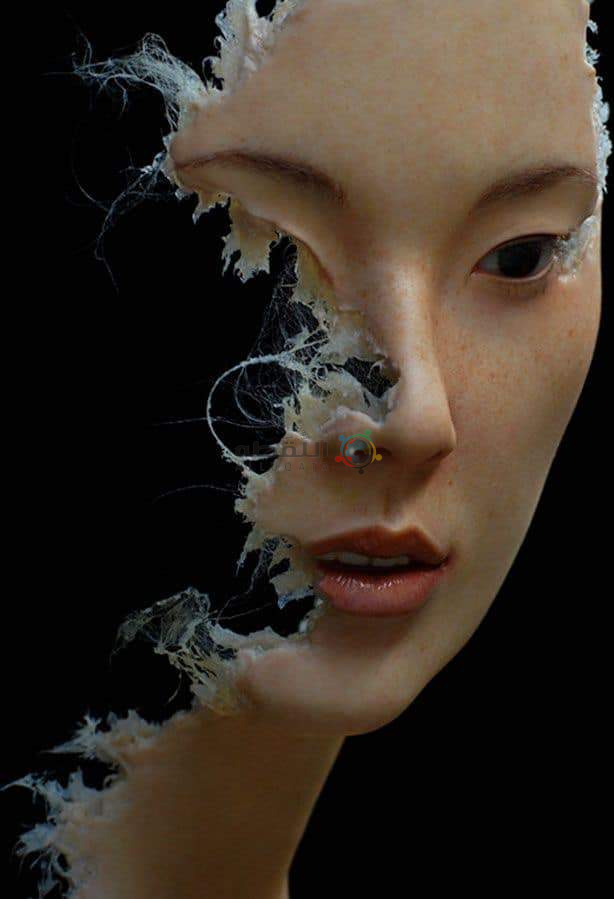 أبحث عن جاري