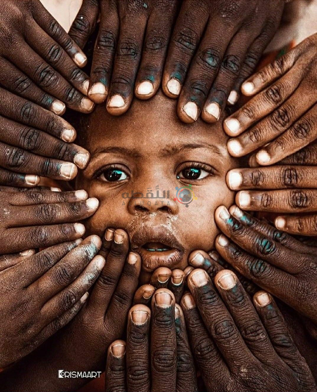 أبحث عن جاري